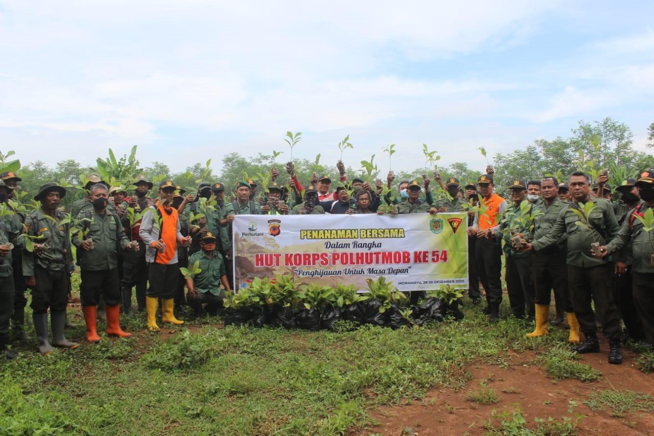 Cegah Longsor Polhut Tanam Pohon