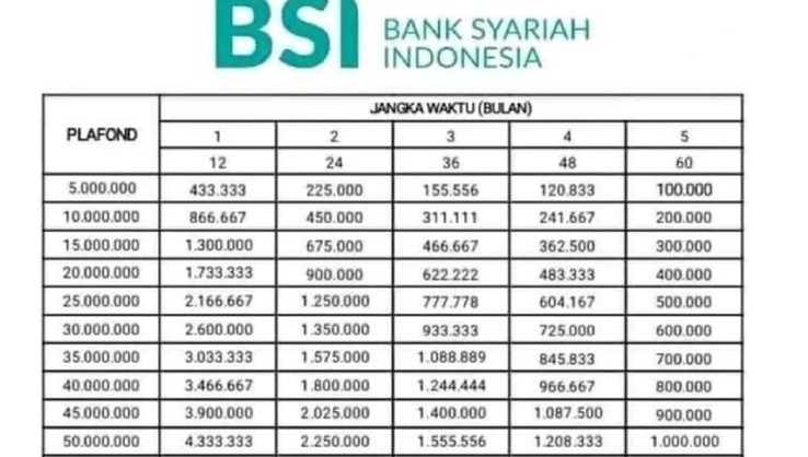 Berikut Detail Biaya Angsuran Pinjaman Non KUR BSI 2025 Sampai Plafon Rp50 Juta, Serta Tips Agar Cepat di ACC