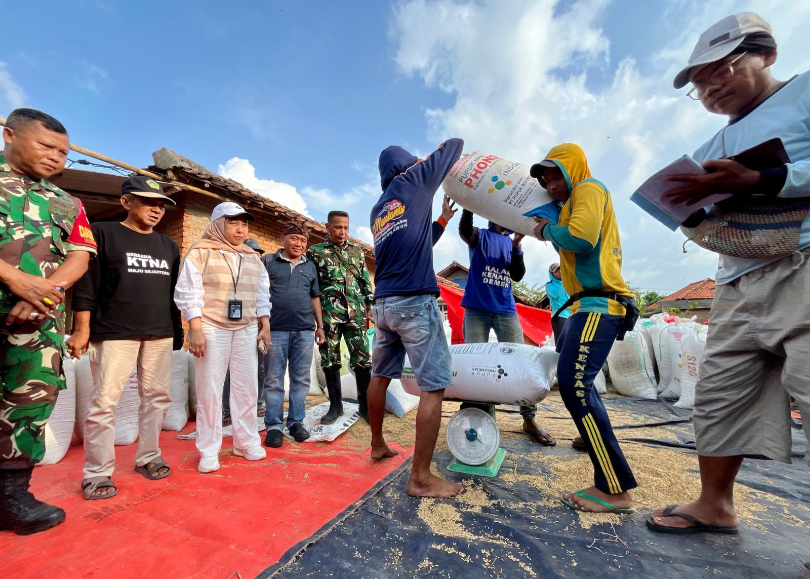 Turun Langsung, Bulog Beli Gabah Petani dengan Harga Rp 6.500/kg