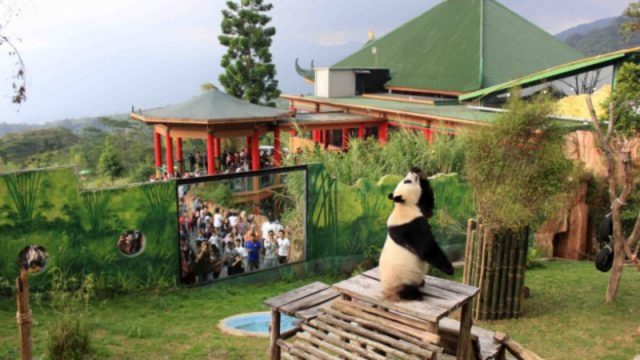 Ramadan 2023, Taman Safari Bogor Paket Promo Gede-gedean Nih! Rp150 Ribu Keliling dan  Visit Istana Panda Lho