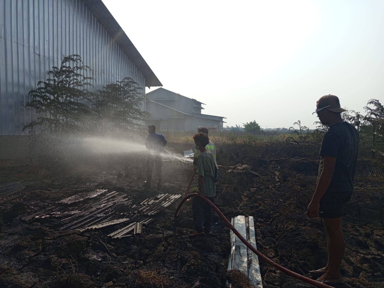 Diduga Puntung Rokok, Lahan Penuh Ilalang Kering di Losarang Indramayu Terbakar