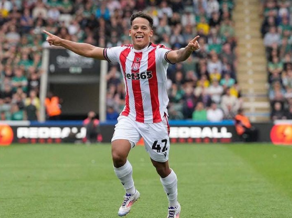 Bukan Lagi Incar Mitchel Bakker, PSSI Kini Incar Striker Stoke City Million Manhoef