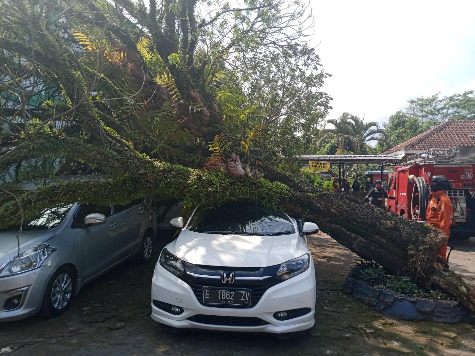 Pohon Klengkeng Tumbang Menimpa Tiga Mobil di Halaman Puskesmas Luragung