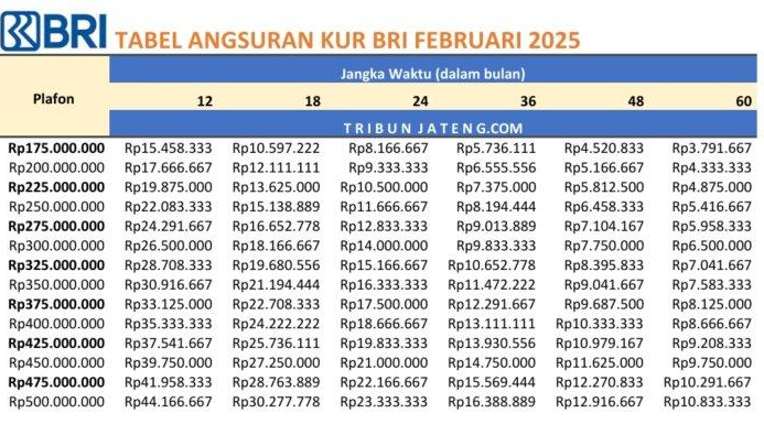 Angsuran Cuma Mulai Dari Rp2 Jutaan Bisa Bikin Bisnis Kamu Naik Berlipat Ganda! KUR BRI 2025 Siap Kasih Modal!