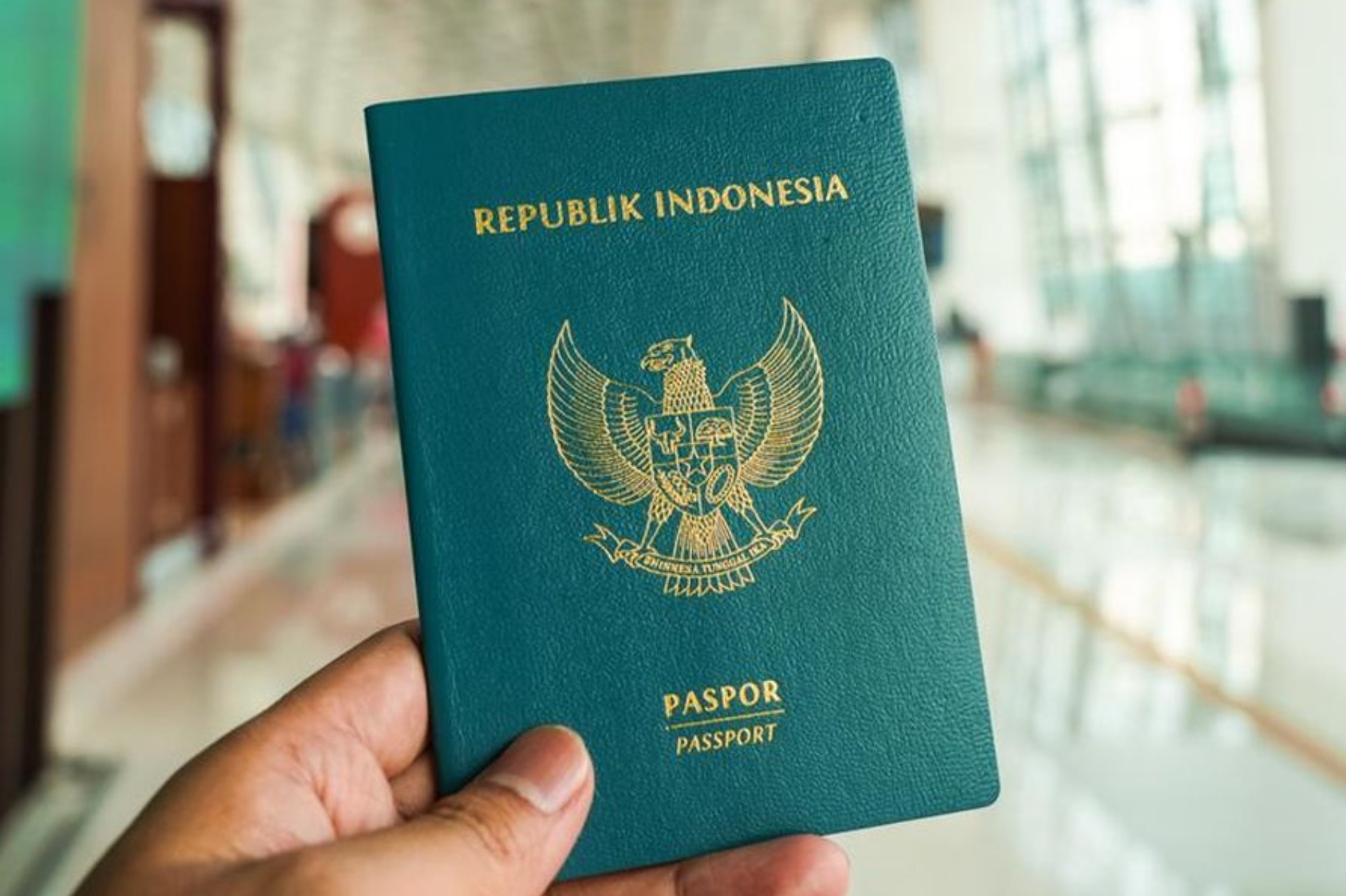 Benarkah Pemain Naturalisasi Punya Paspor Ganda Indonesia dan Belanda?