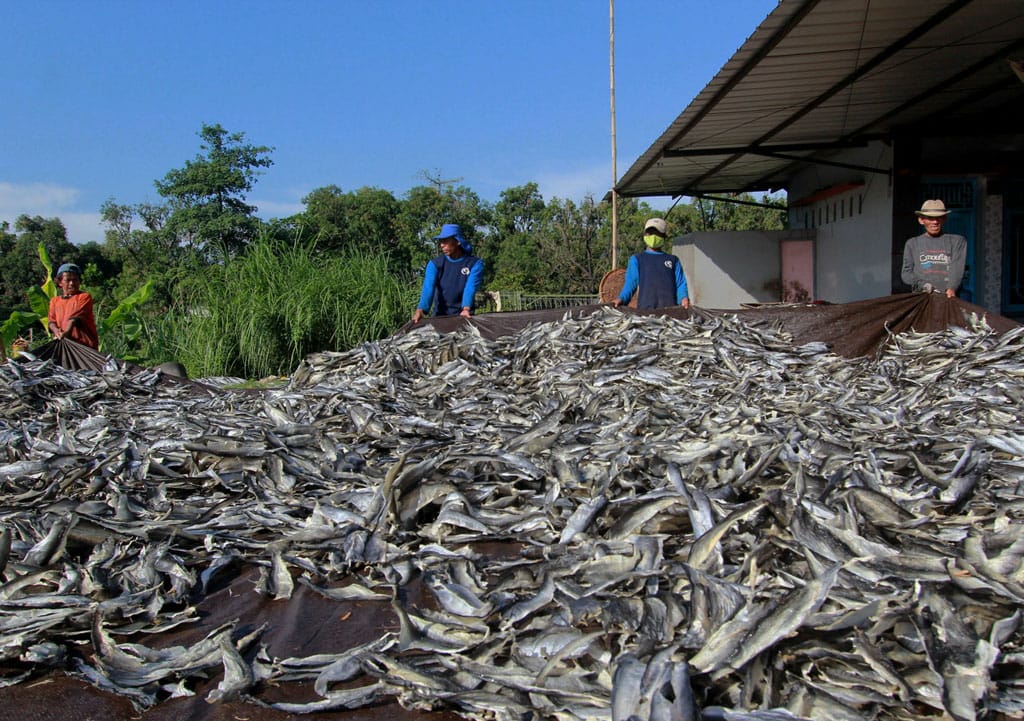 Industri Kerupuk Indramayu Terus Menggeliat