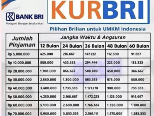 Syarat Pinjaman Bank BRI Tanpa Jaminan untuk Usaha, Ini Skema Pembiayaan Hingga 50 Juta Serta Cicilan 253 Ribu