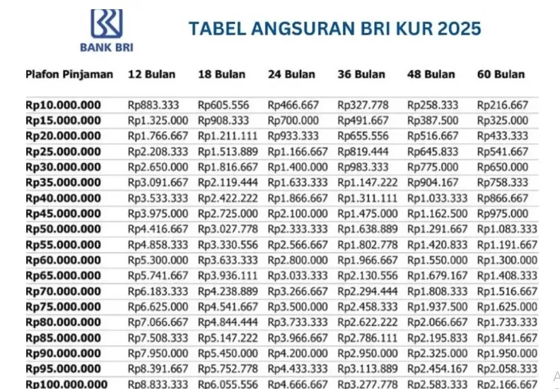 Tabel KUR BRI 2025: UMKM Wajib Tahu, Pinjam Rp1 Juta–Rp100 Juta Cicilannya Bikin Kaget!