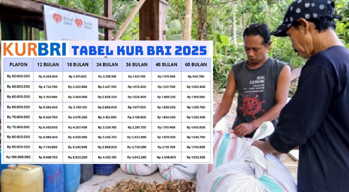 KUR Super Mikro BRI 2025: Pinjaman Rp10 Juta dengan Bunga 3 Persen, Cek Syarat dan Cara Pengajuannya Disini!