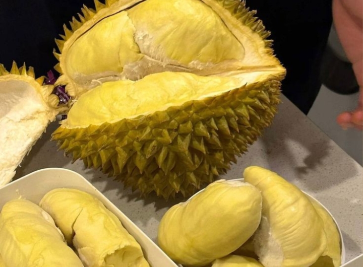 Kamu Suka Durian? Siap-Siap Kaget dengan Manfaat Rahasianya Berikut Ini