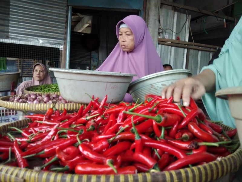 Harga Cabe Merah Semakin “Pedas Menyengat”