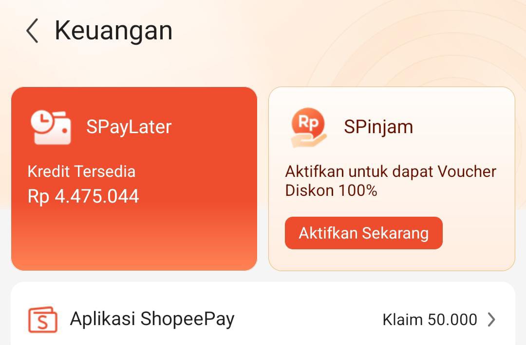 Pengguna Paylater Semakin Meningkat! Apakah Gaya Hidup atau Kebutuhan yang Mendesak?