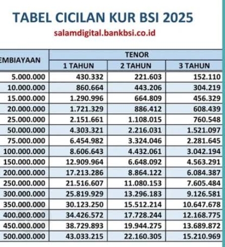 Cek Skema KUR Pinjaman UMKM Rp500 Juta, Dari BSI 2025 Untuk Usaha! Tabel Lengkapnya di Rp10 Juta