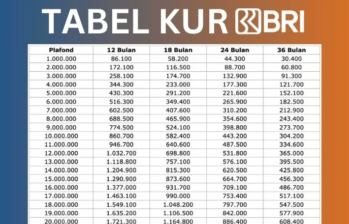 Jangan Lewatkan! KUR BRI 2025 Dibuka! Siapkan Diri untuk Menggapai Kesempatan Emas Ini!
