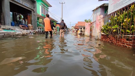 Banjir Rob Terjang 4 Desa, Ribuan Rumah Terendam, Begini Kondisinya