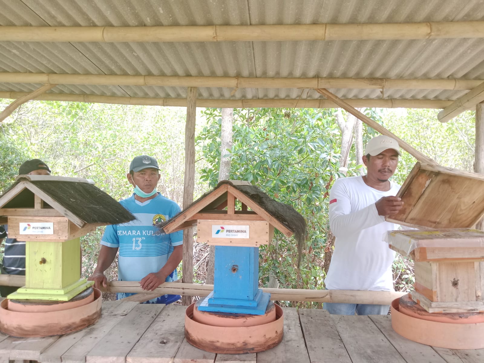 Harmoni Pesisir Merubah Hutan Desa Jadi Kawasan Hijau Menuju Wisata Terintegrasi Cemara Kulon