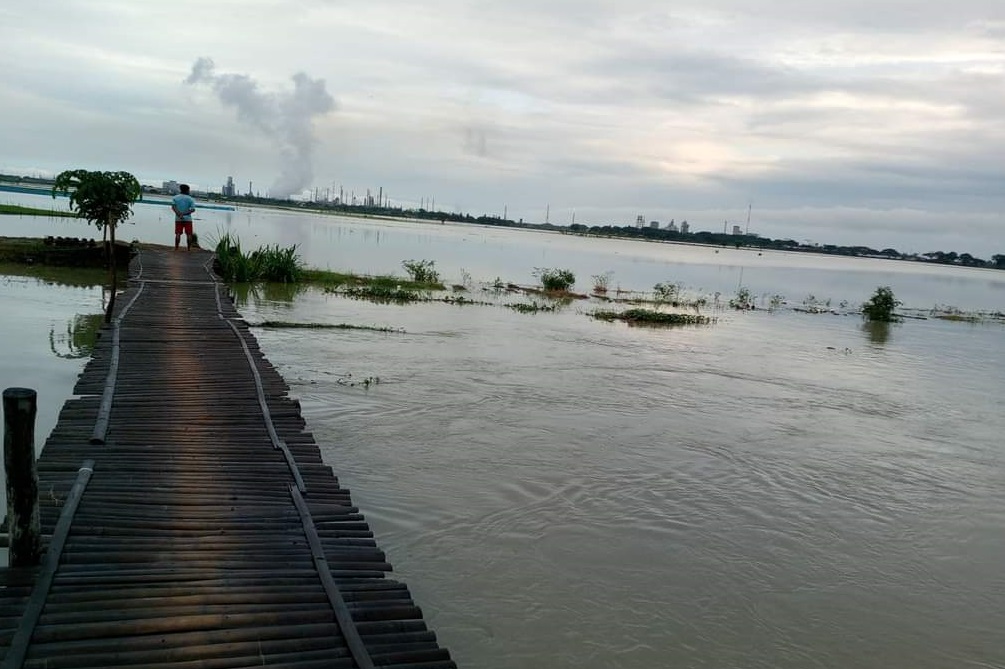 Akibat Curah Hujan Tinggi, Sawah di Desa Lombang Terendam Banjir Selama Berhari-hari