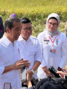 Presiden Jokowi Apresiasi Kinerja Bupati Nina Agustina, Panen Raya di Indramayu, Pastikan Produksi Padi Baik