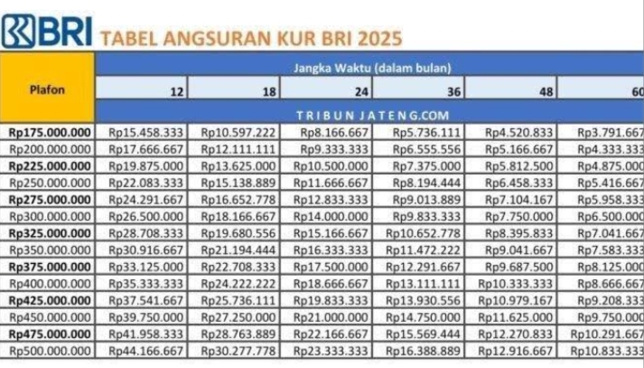 Tabel KUR Pinjaman Rp200 Juta Hingga Rp500 Juta, Bank BRI Membuka Akses Permodalan Untuk Pelaku Usaha