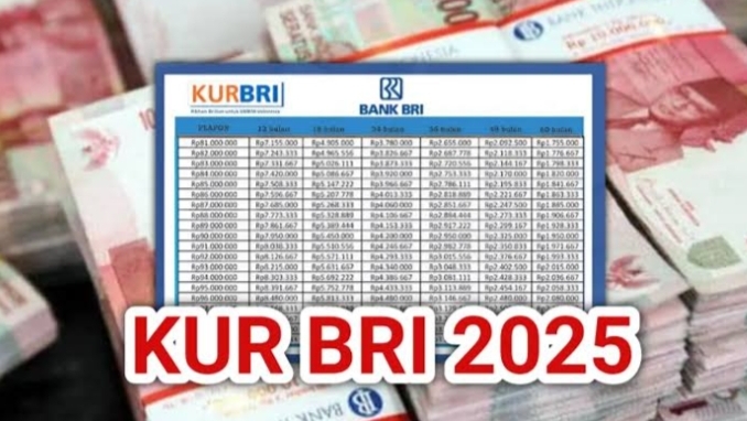 GERCEP! Pinjaman KUR BRI 100 Juta Cicilan Ringan, Cair Cepat Dikhususkan Untuk UMKM & Persyaratan Simpel