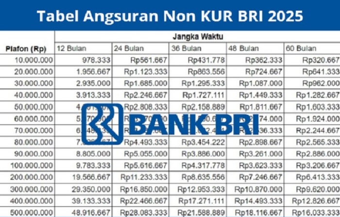 Pinjaman Non KUR BRI 2025, Ini Skema Rincian dengan Tenor Lengkap dan Angsuran Mulai dari 146 Ribu