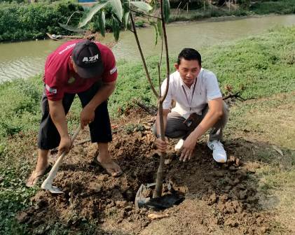Lestarikan Alam, BRI Kantor Cabang Jatibarang Tanam Ribuan Bibit Pohon Di Indramayu