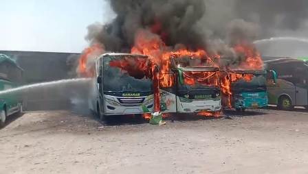 5 Unit Mobil Terbakar di Garasi Bus PO Sahabat, Ternyata Penyebabnya Korsleting Listrik