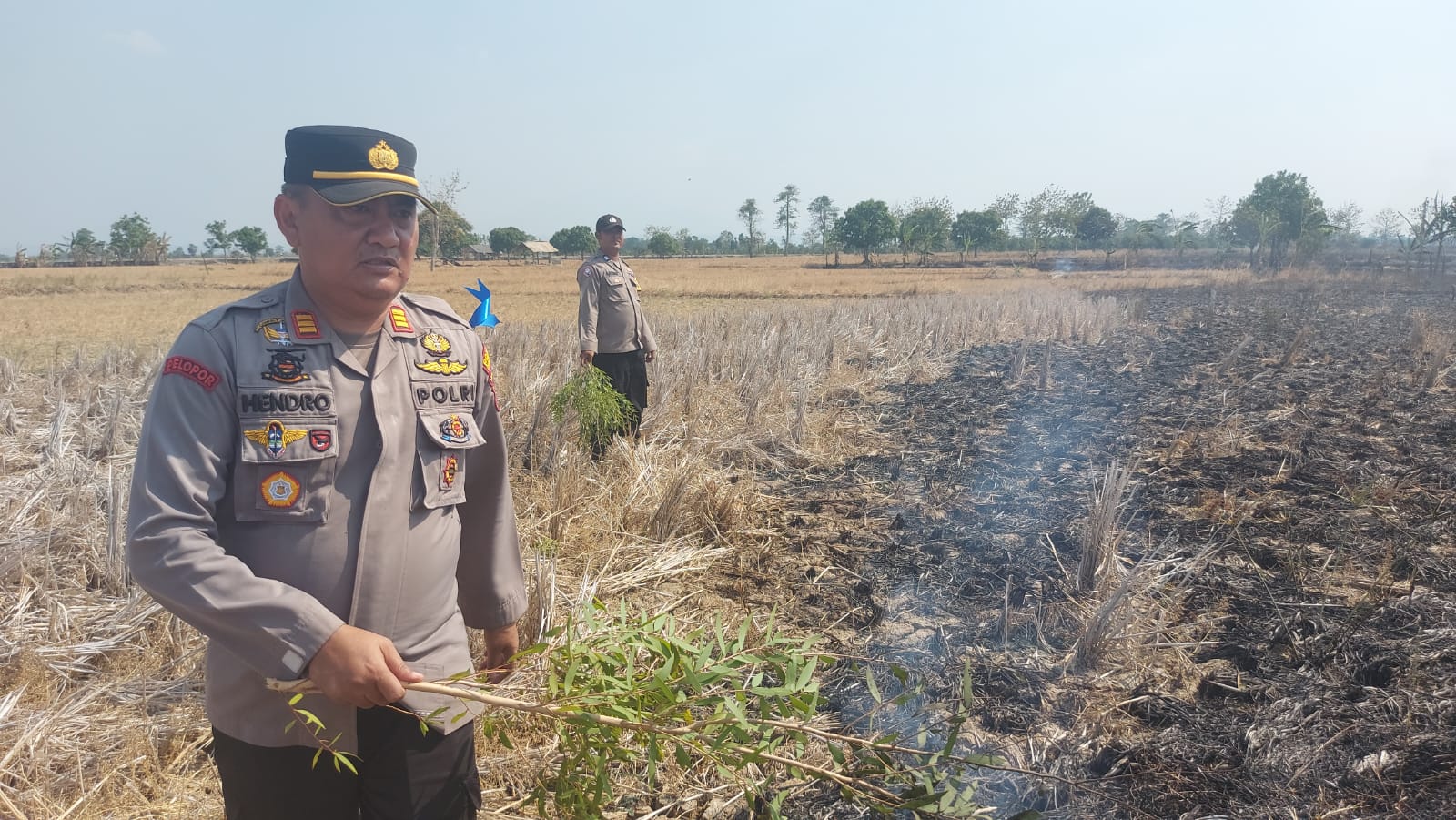 Semangat! Begini Aksi Polisi Padamkan Kebakaran Kawasan Hutan Cikawung