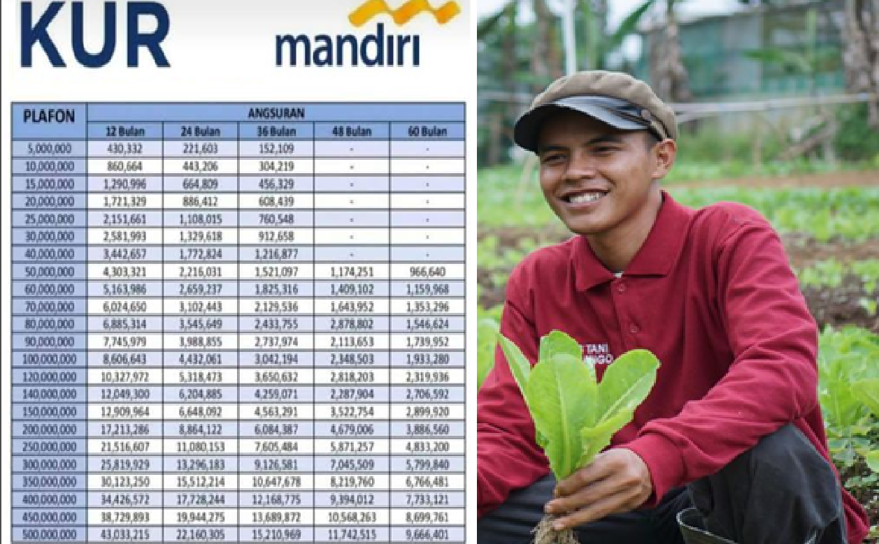Kabar Baik untuk Petani dan Nelayan! KUR Mandiri 2025 Tawarkan Modal Usaha Ringan, Ini Skemanya