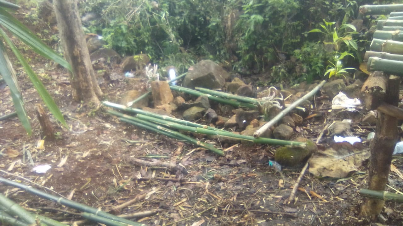 Tak Sengaja Ditemukan Sebuah Makam Pendiri Desa Sarwadadi di Hutan Bambu