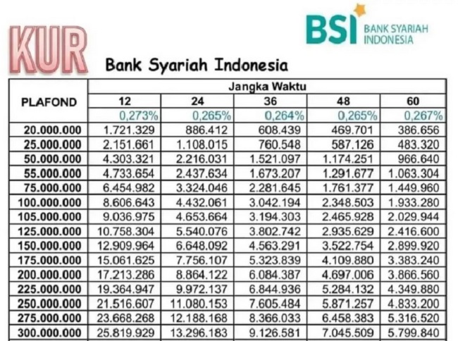 Dapatkan Cicilan Skema Pinjaman KUR BSI 2025 Tanpa Bunga, Berikut Plafon Maksimal 500 Juta Beserta Angsurannya