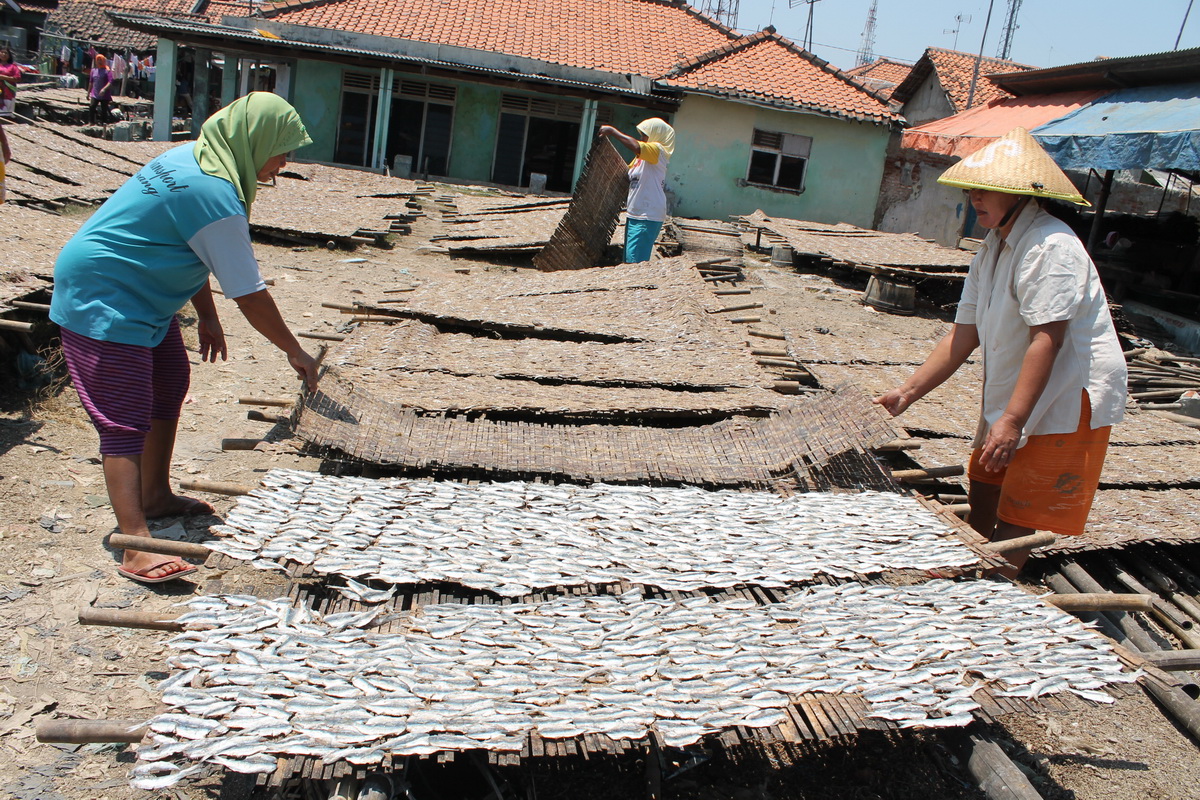Krisis Garam, Kesulitan Jemur, Home Industri Pengolahan Ikan Terancam Gulung Tikar