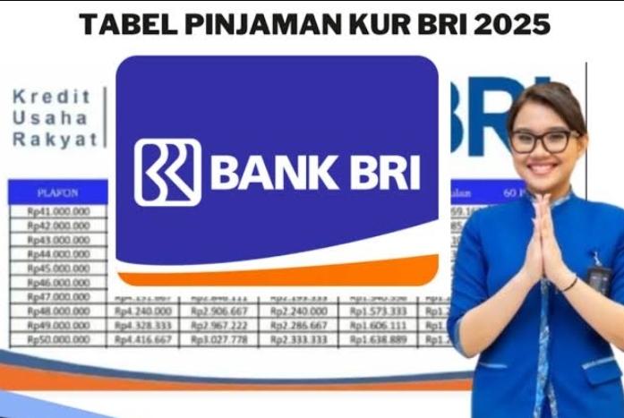 Angsuran Terbaru KUR BRI 2025 Plafon 100 Juta, Cicilan Rp2 Juta per bulan! Perhatikan NIK KTP Agar Approve 