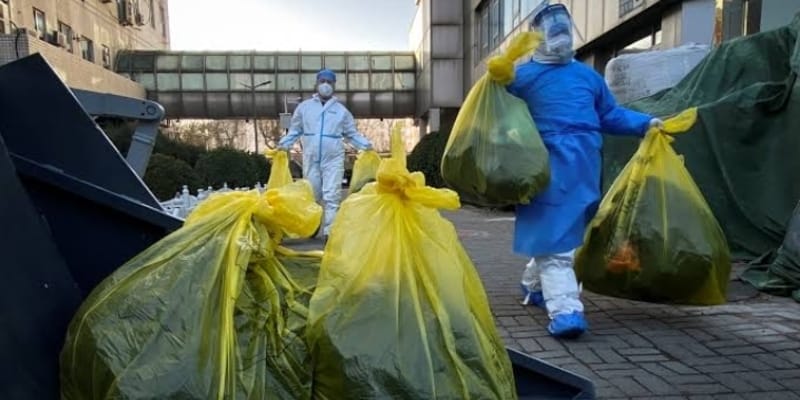 Terjangkit Flu Burung, 15 Ribu Bebek di Ceko Dimusnakan