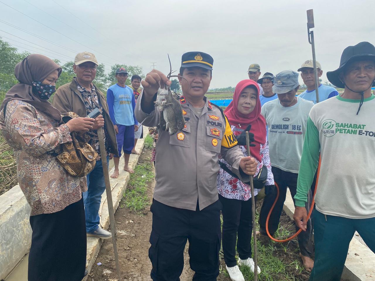 Wujudkan Swasembada Pangan, Polsek Kedokan Bunder Bantu Petani Basmi Hama