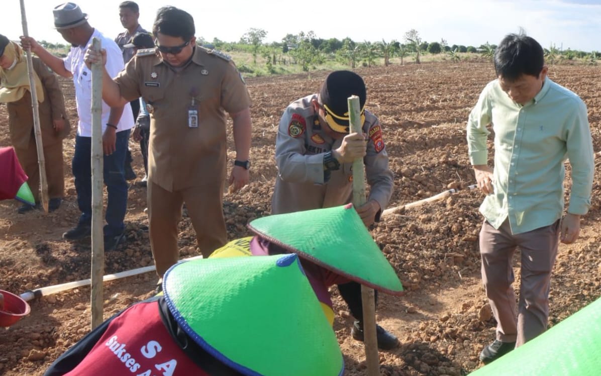 Polres Indramayu Lanjutkan Penanaman Jagung di Kecamatan Terisi