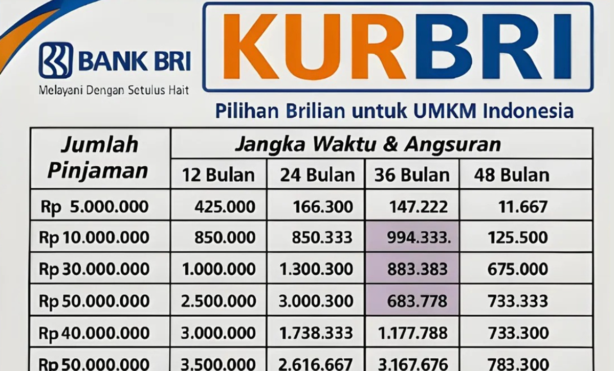 Tabel Pinjaman KUR BRI Plafon 50 Juta untuk UMKM, Cicilan Murah Mulai dari Rp200 Ribu Aja
