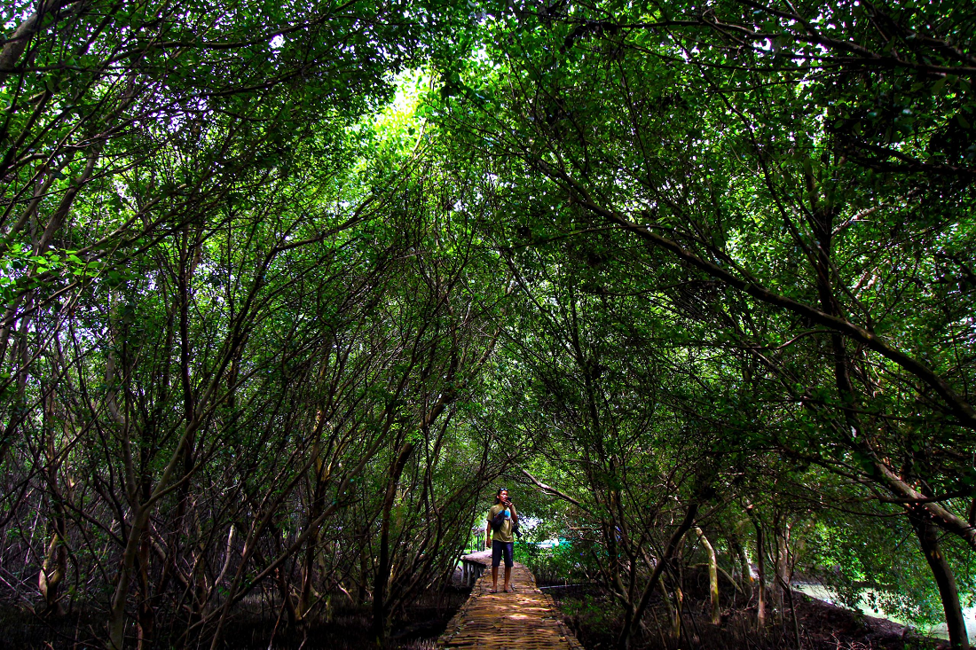 Hutan Mangrove Karangsong, Destinasi Edukasi Untuk Kamu Berlibur Di Akhir Tahun, Berikut Deskripsinya!