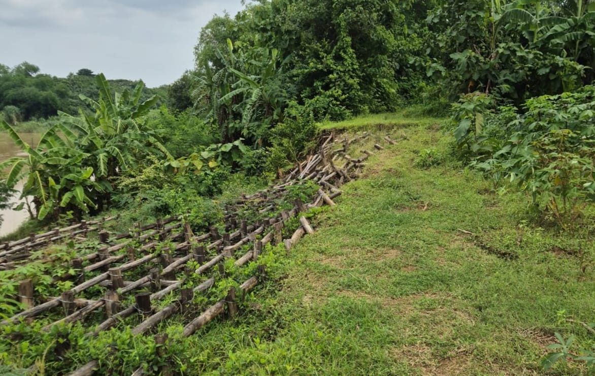 Hujan Deras, Tanggul Sungai Cimanuk di Blok Pulocangak Kembali Amblas