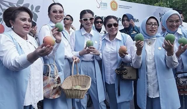 Kunjungi Agrowisata Mangga di Desa Krasak, Selvi Ananda Putri Panen Gedong Gincu