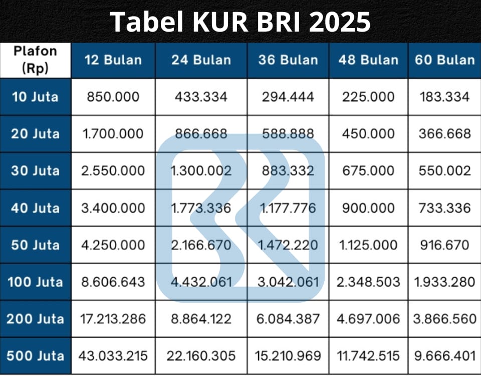 Mau Pinjam 50 Juta di KUR BRI 2025? Cicilan Super Ringan Hanya Rp900 Ribuan per Bulan!