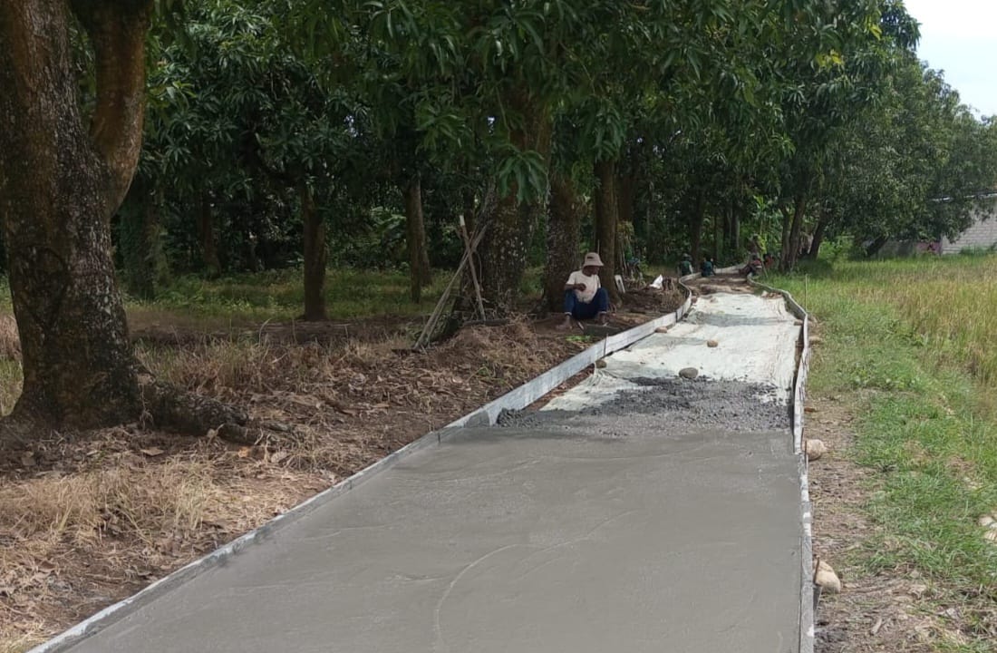 Dukung Target Produksi Padi 1,7 Juta Ton, Pemdes Tenajar Lor Bangun JUT Sepanjang 137 Meter