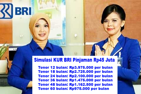 Bunga Hanya 3 P untuk Pinjaman Rp45 Juta di KUR BRI 2025 Cepat Cair, Simak Cara Pengajuan dan Cicilan Terendah