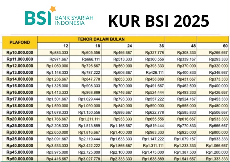 Bebas Riba! KUR BSI 2025 Bisa Pinjam Rp10-50 Juta, Cicilan Ringan & Syarat Super Gampang!