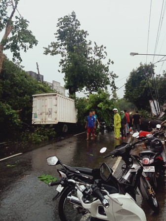 Sebuah Mobil Boks Tertimpa Pohon Mahoni di Desa Panyingkiran, Mengakibatkan Sopirnya Tewas 