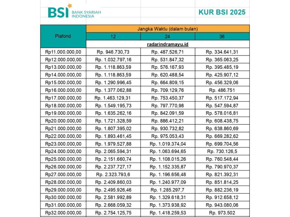 Proses Gampang ACC, Cicilan Mulai Rp200 Ribuan, Cek Tabel Angsuran KUR BSI 2025 Plafon Rp10-Rp100 Juta