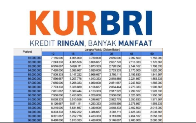 KUR BRI 2025: Bunga Rendah, Pinjam 100 Juta Ternyata Cicilannya Cuma Segini 