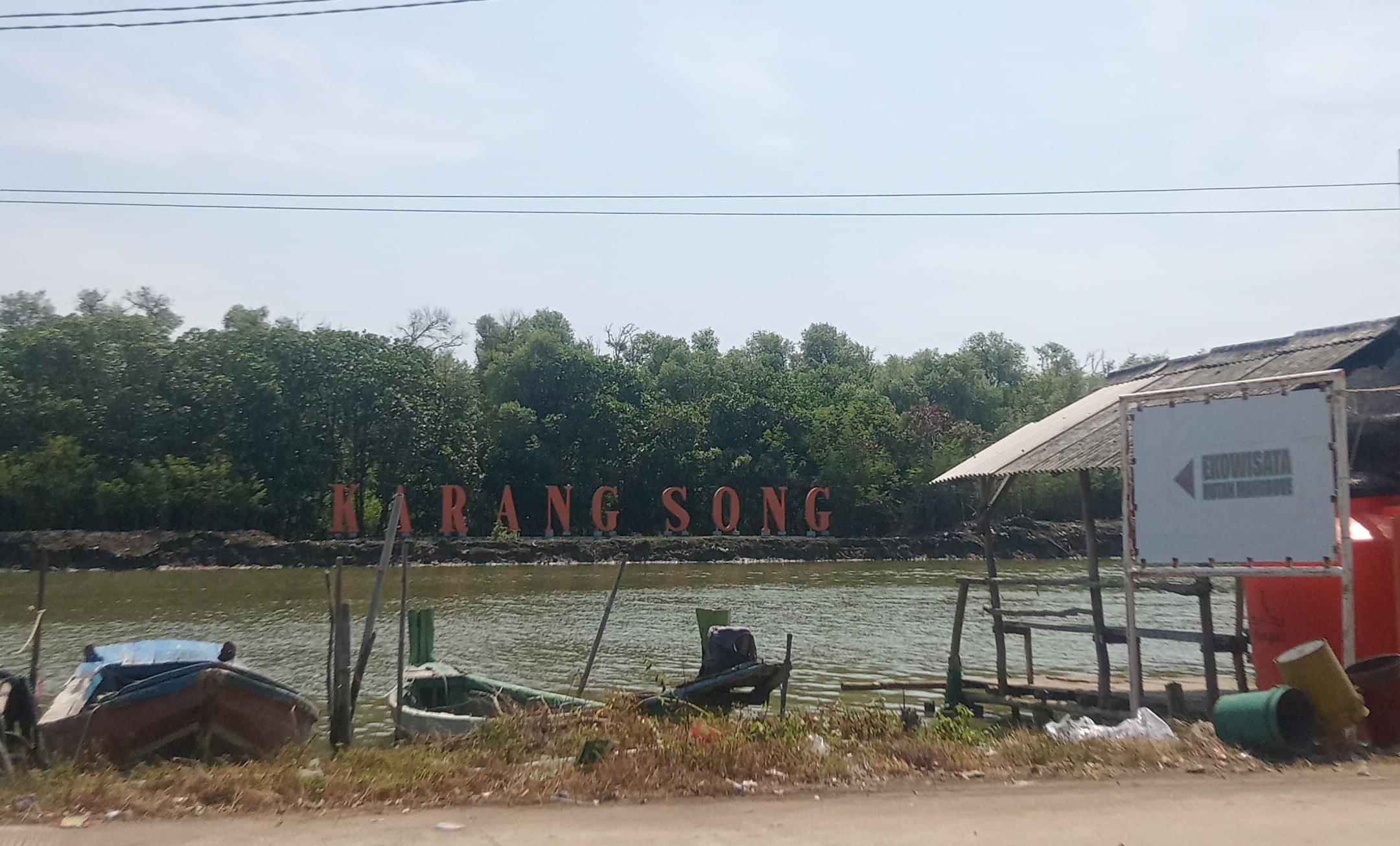 Ekowisata Mangrove Karangsong: Dulu Kawasan Terabrasi, Kini Pusat Edukasi dan Konservasi