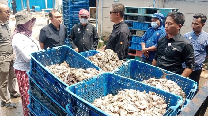 Tutup Pabrik Tepung Ikan, Warga Keluhkan Bau  yang Menyengat, Tim Gabungan Cek Lokasi