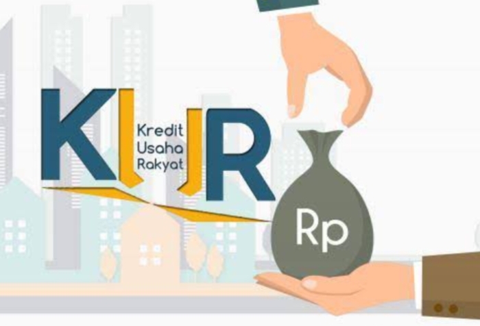 Alasan Pengajuan KUR Ditolak Jutaan Rupiah, Karena 7 Hal Ini? Kamu Harus Simak & Hindari Penyebab nya
